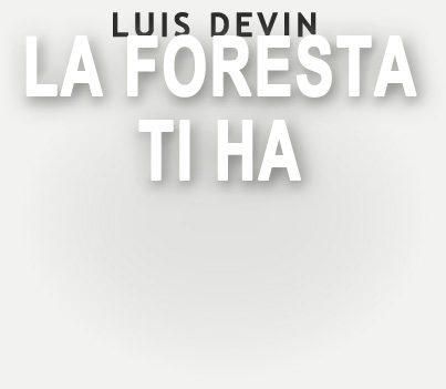 Luis Devin, La foresta ti ha. Storia di un'iniziazione, romanzo (Castelvecchi editore)