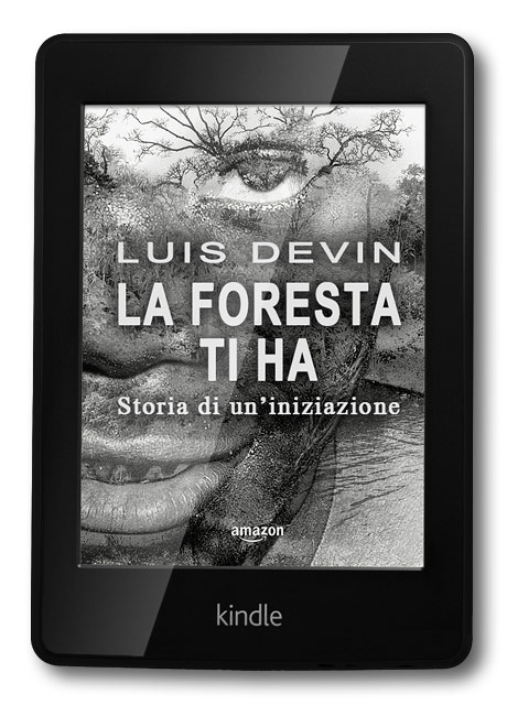 The Forest Has You, Luis Devin 460 X 640 px