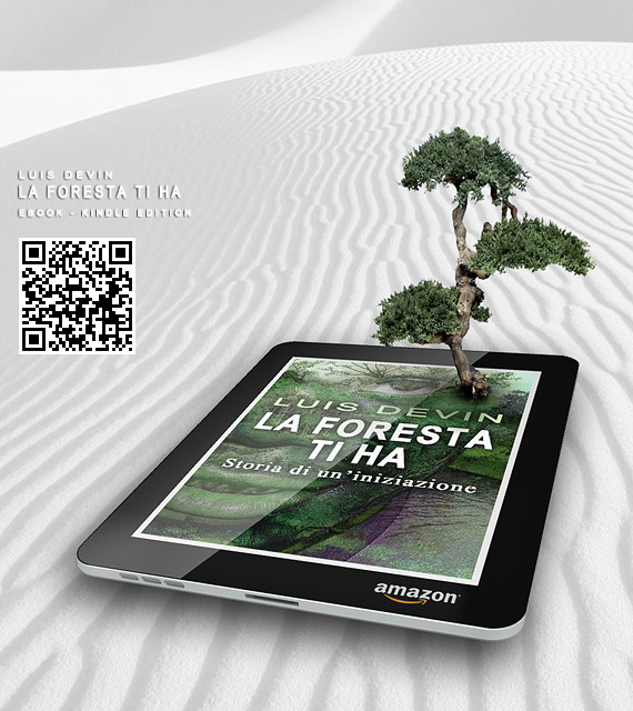 Kindle e-book