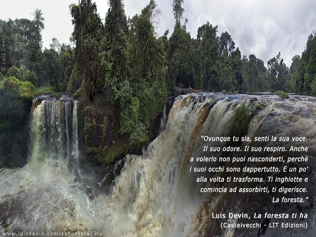 Cascate nella foresta pluviale