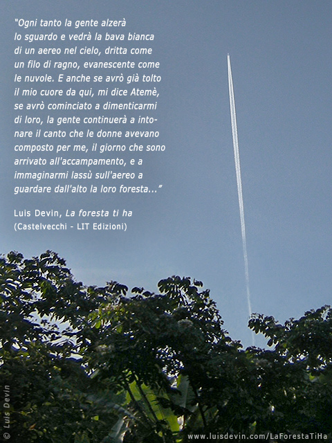 Aereo sulla foresta