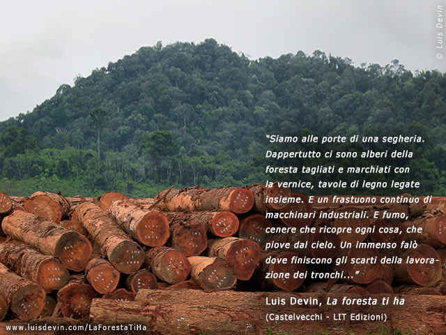Deforestazione in Africa centrale