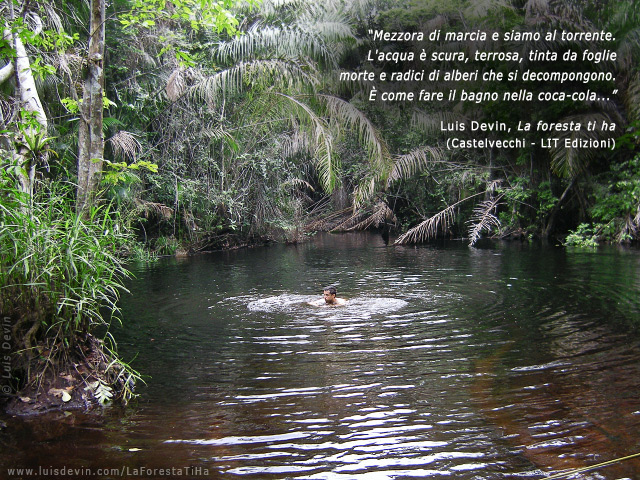 Lavarsi in foresta