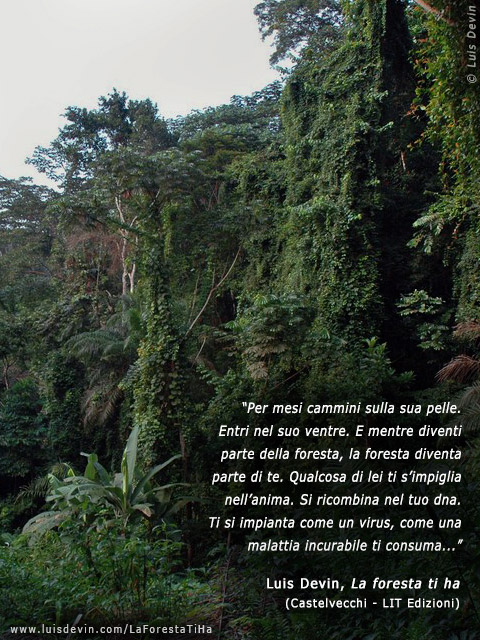 Foresta equatoriale