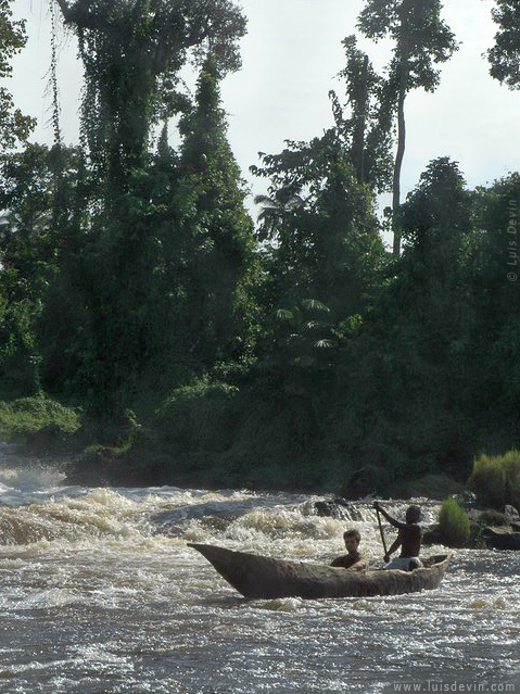African pirogue