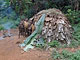 Leaf hut, 1