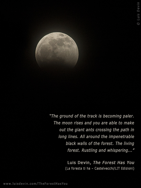 African moon