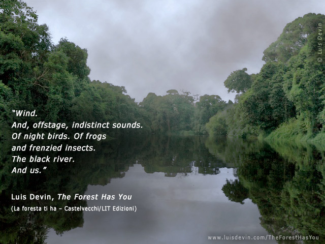 The black river