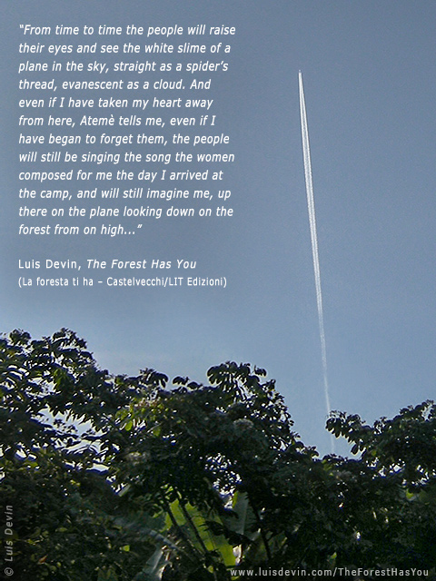 Airplane over the forest