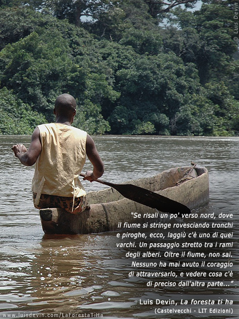 Pygmy pirogue
