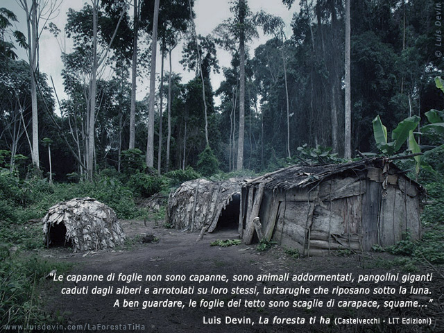 Forest huts